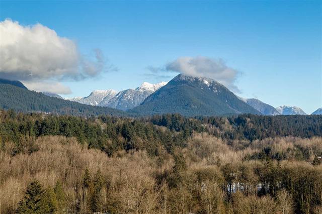 2002 680 Seylynn Cres, Vancouver 13