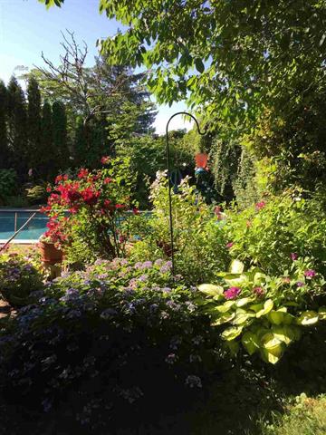 11724 209 St, Maple Ridge 12