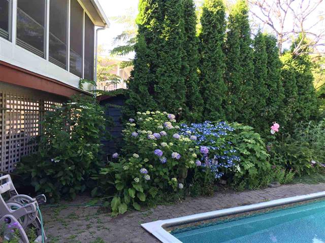 11724 209 St, Maple Ridge 8
